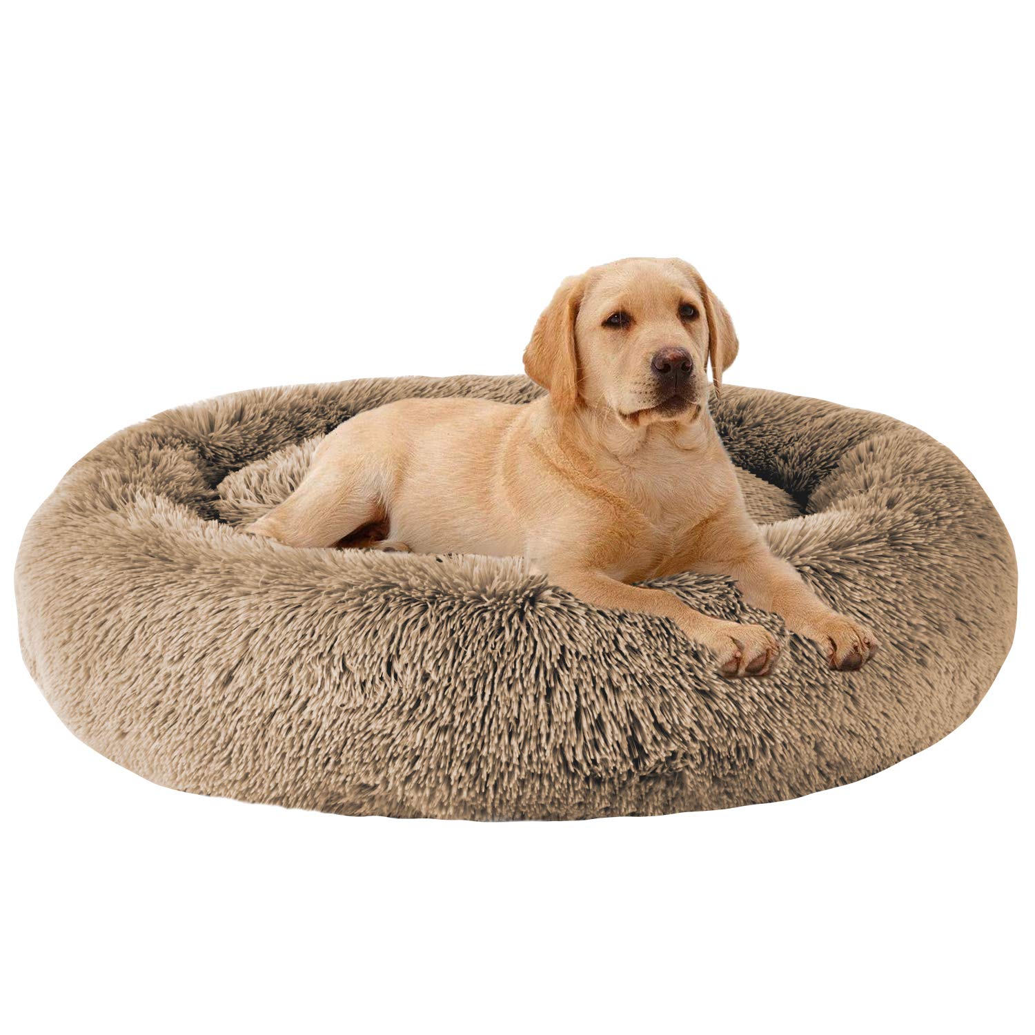 Amazon | MFOX 落ち着きのある犬用ベッド (L/XL/XXL/XXXL) 中型/大型犬